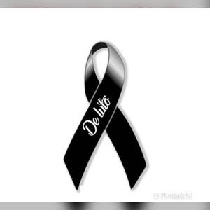 Meet your Posher, Nayeli